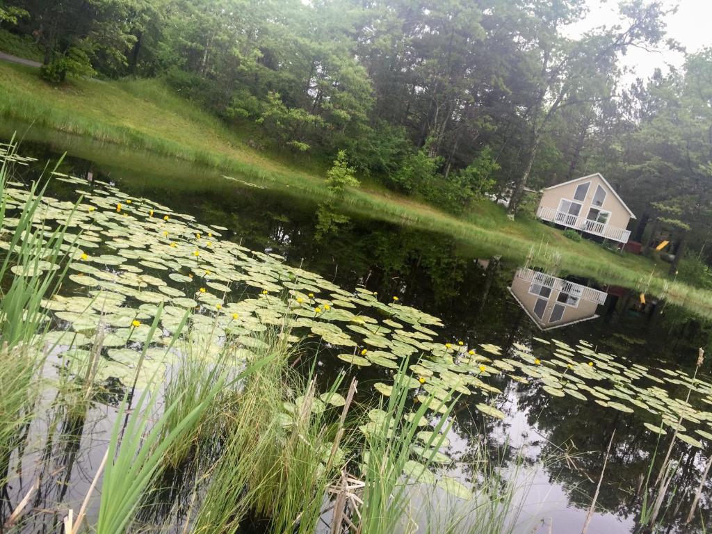 Our Wielgot Tradition cabin